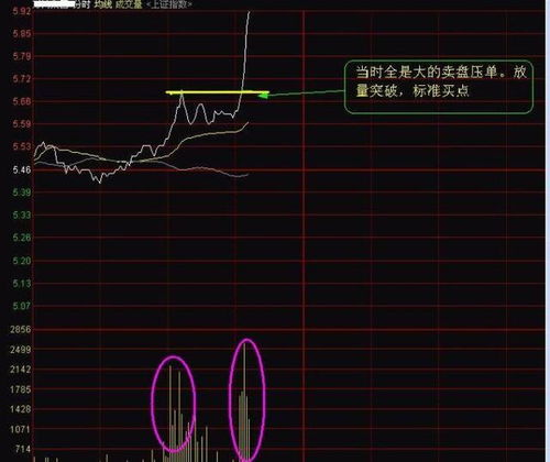 股市中80%的人散户都是短线客，也有许多大户，也是短线客，天天跟热闹股，但90%的热闹股都不是持续的，多数都是几天的行情，因而多数散户都是由于短线跟亏的，相信不，找到大行情才是关键，这样的机会可是特少的啊