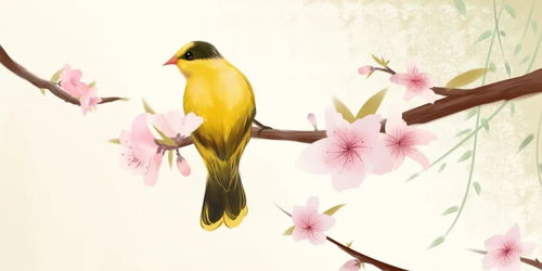 关于长江鸟的诗句有哪些