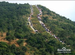 深圳有哪些免费又好玩的景点 