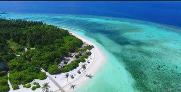 马尔代夫芙拉薇丽岛之旅一次浪漫而又惊喜的旅行（马尔代夫哈拉薇莉岛）
