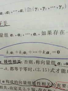 0向量的区别；0向量与黑体的0向量有什么区别？