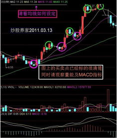 我有底仓400股股票，想做T+0应该怎么做