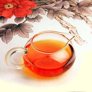 上海品茶2020【上海品茶网】