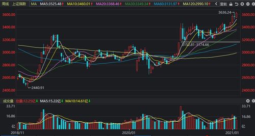 600872在这轮行情中还能创出新高吗？现在可以买入吗？