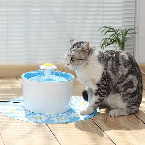 如何让猫咪多喝水 降低泌尿系统疾病的风险