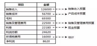 什么是预计的资产负债表