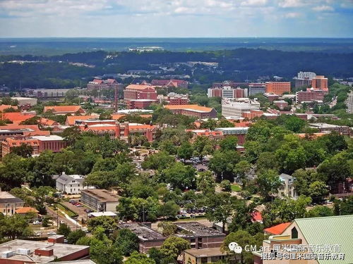 佛罗里达大学本科难申请吗