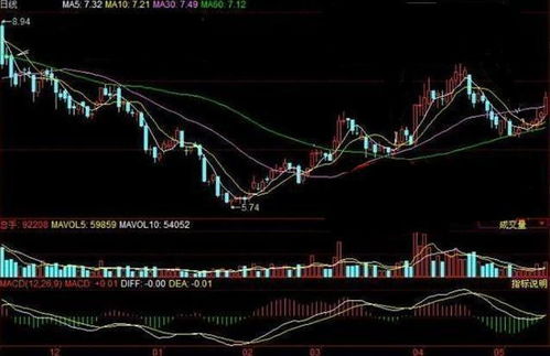 关金朋-做股票真的那么厉害吗? 真的是传说中的神吗。