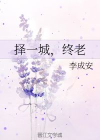 择一城,终老 李成安 