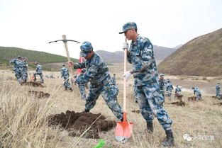 从前黄沙满天飞,如今因为他们变了样 