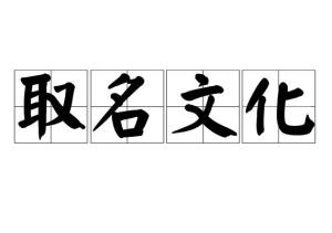 文化取名字