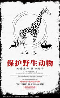 保护野生动物海报宣传