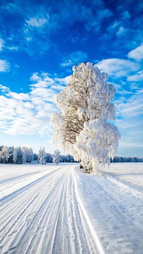 高清雪景手机壁纸 图片搜索