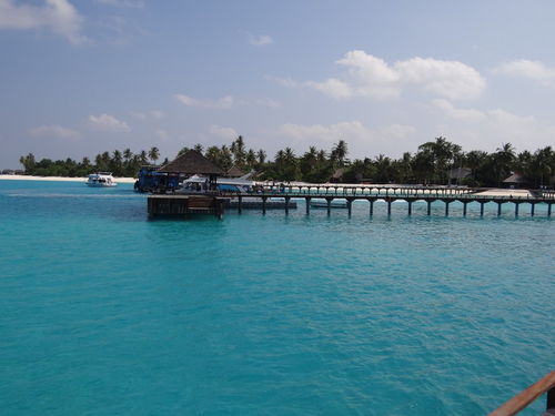马尔代夫伊露旅游(马尔代夫拍照岛屿有哪些推荐)