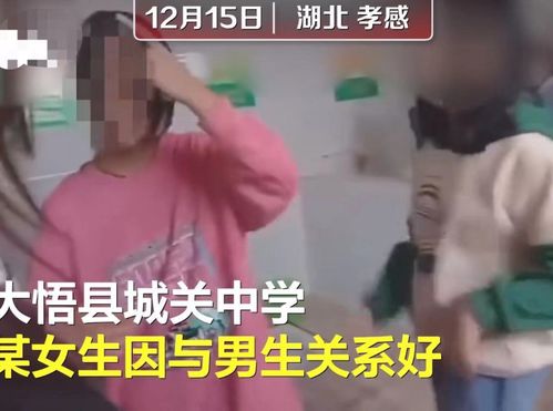 湖北孝感初中女生被7名学生扇耳光 参与学生家长拒不道歉