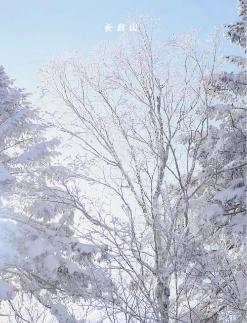 大冬天的,雪花都没飘你居然漂了