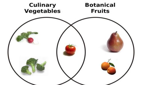 水果和蔬菜有什么区别,如何科学解释酸味会让人抬头