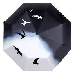 天蝎座代表的雨伞