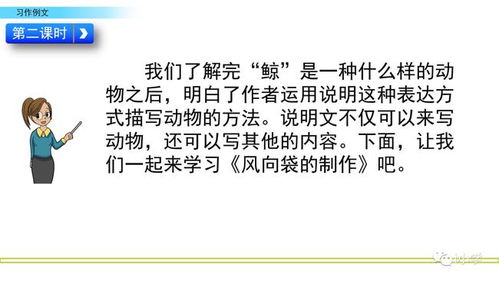 播放介绍一种事物范文_用三个或三个以上的说明方法写出一个事物的一个特点？