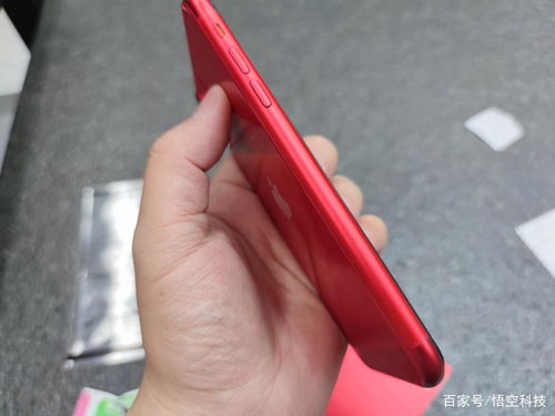 iPhone 11掉漆的问题终于解决 入手贴纸 镜头壳,完美防护手机