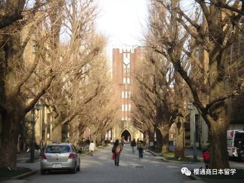 揭秘日本面积最大的大学,可占日本面积1 570