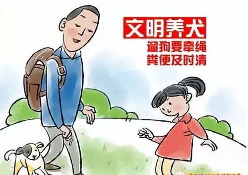 桓台县开展不文明养犬行为集中整治行动 为 文明养犬 立规矩
