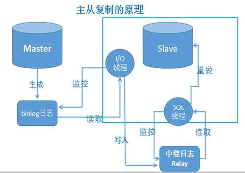 自己可以给买的虚拟主机里装mysql吗