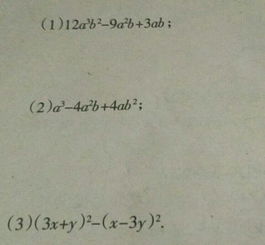 伽利略名言数学_伽利略的关于好奇心的名言？