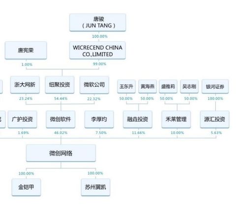 上海微创软件股份有限公司是干什么的？