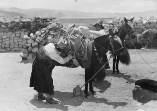 老照片 希特勒当年派人到西藏寻找日耳曼人祖先,留下了这组珍贵照片