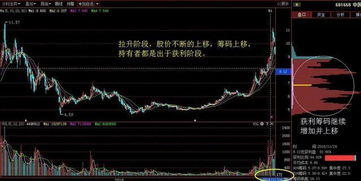 如果公司破产或负债对股票持有者有什么影响