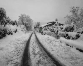 雪落无声，冬意绵长，又见冬天作文600字初中