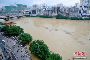 Chongqing s Qijiang River suffers heaviest flood since 1998, turned into sea
