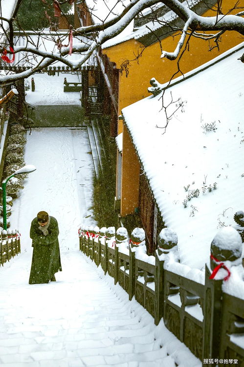 踏雪而归,踏雪而归上一句(图2)