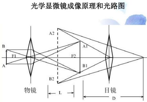 生活中都有 哪些凸透镜和凹透镜 