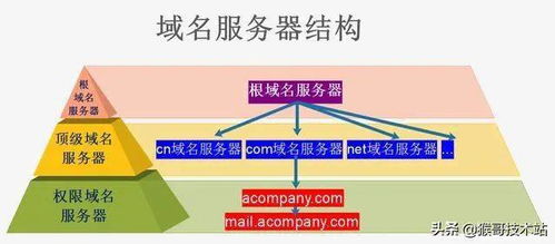 什么是域名地址 (日本服务器的域名)