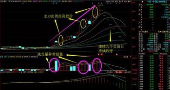 如果一个股票我突然以跌停板的价格卖出这个股票分时图会在某一秒突然跌停吗？