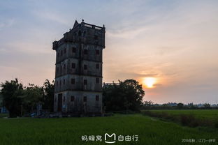 开平碉楼一日游