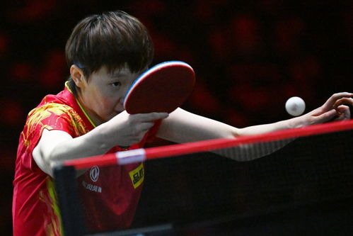 体育 乒乓球 WTT新加坡大满贯 王曼昱晋级16强