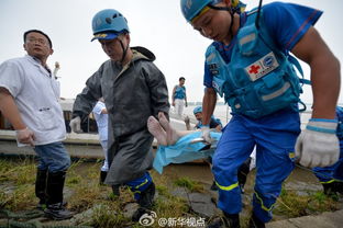 载458人 东方之星 客轮在长江倾覆 船体倒扣江中 