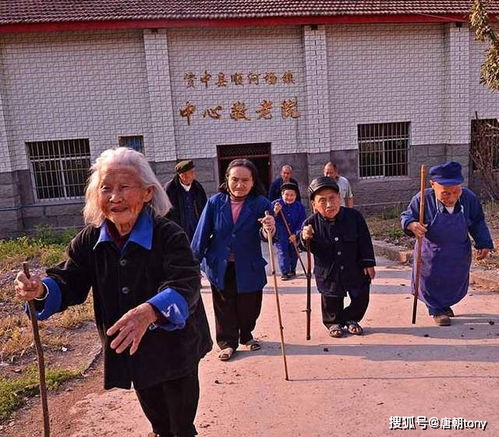 高个子与矮个子打架有优势吗(高个子与矮个子打架有优势吗女生)