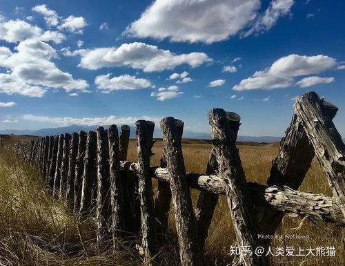 国庆期间青海还适合旅游吗 是不是景色不好了 