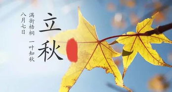 立秋节气的含义是什么意思,立秋，是秋天的开始吗？｜民俗日历·二十四节气