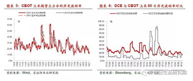 请解释一下期权合同，以及期权费的收费依据和标准