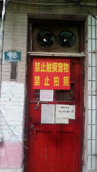 上海一 宠物救助中心 被指贩狗虐狗,屡遭举报还打伤执法者