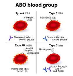 血型的发现史 竟然是一部血迹斑斑的输血史