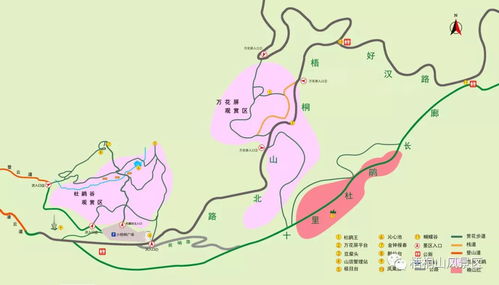 2023第八届梧桐山毛棉杜鹃花会游玩路线推荐 