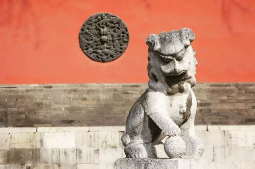 在金陵城中,竟还隐藏了这样一个神似故宫的地方 杭州1.5H,去看漫天大雪下的红墙黄瓦,岁月交错 南京 