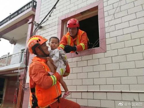 河南宜阳在这次水灾中受灾了吗