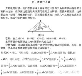 小学奥数叫停原因分析